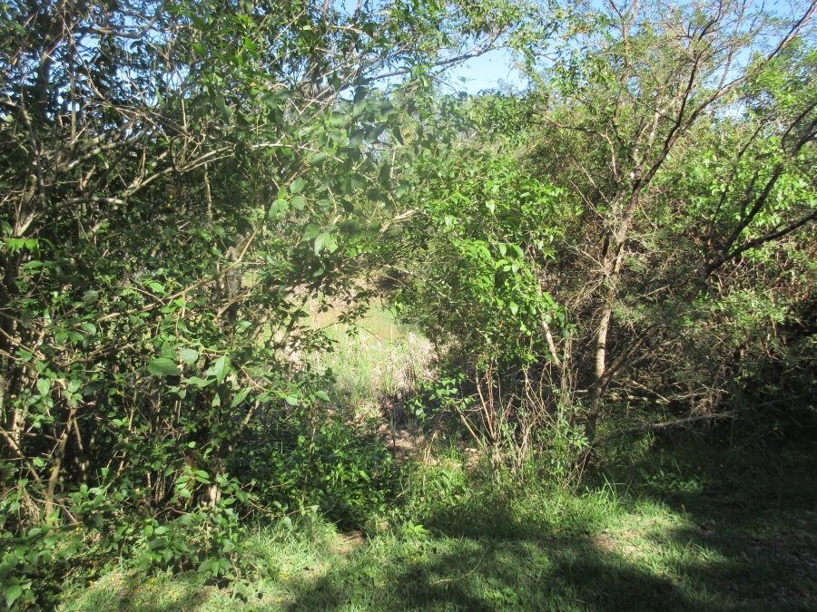 0 Bedroom Property for Sale in Bathurst Eastern Cape
